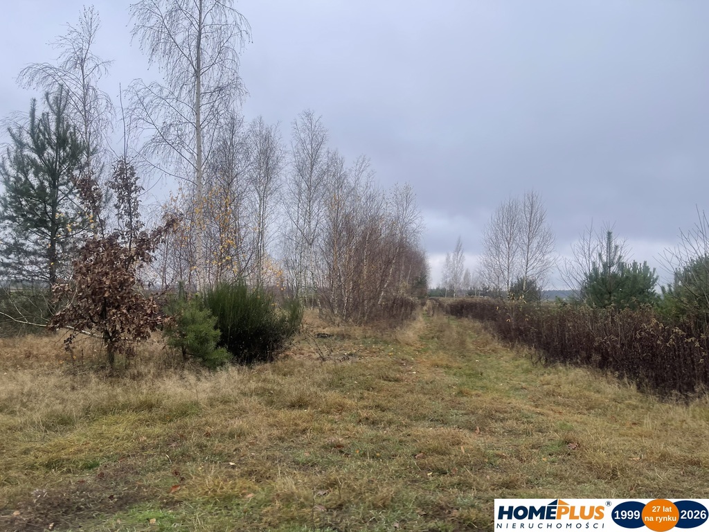 Działka 6443 m² z mediami przy asfaltowej drodze.