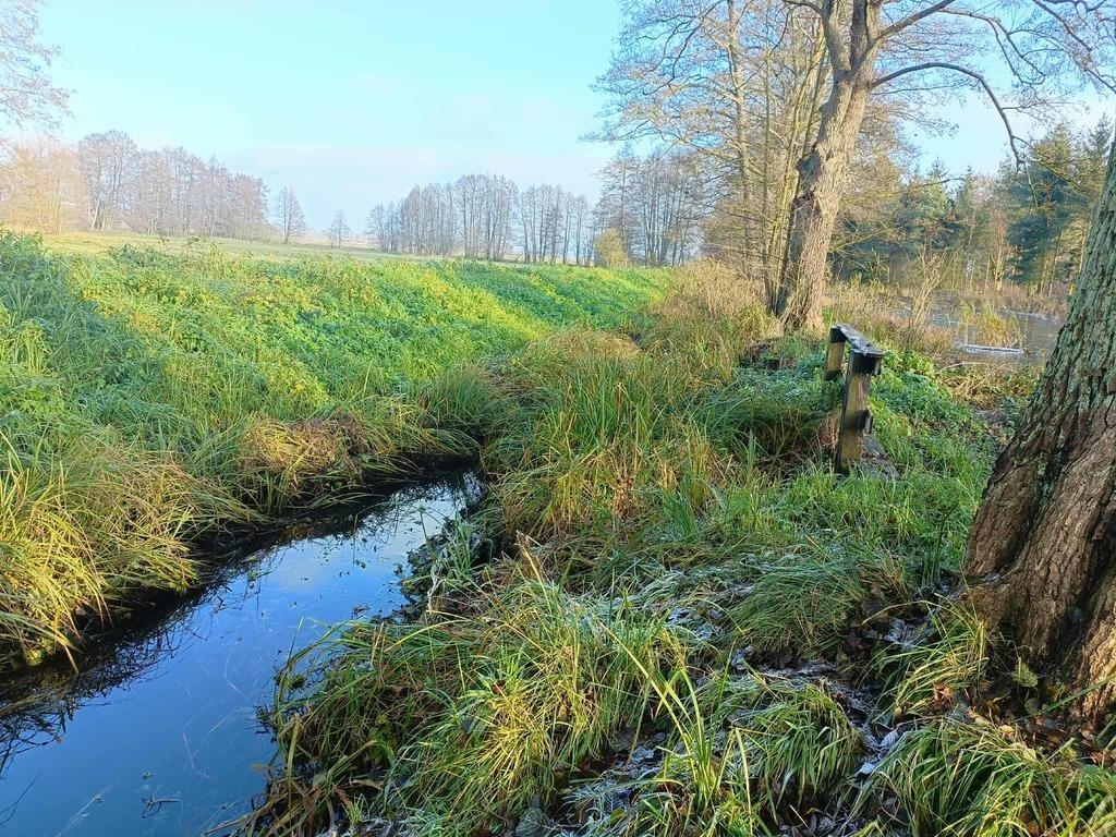 Wymarzone siedlisko - las, jezioro, rzeka