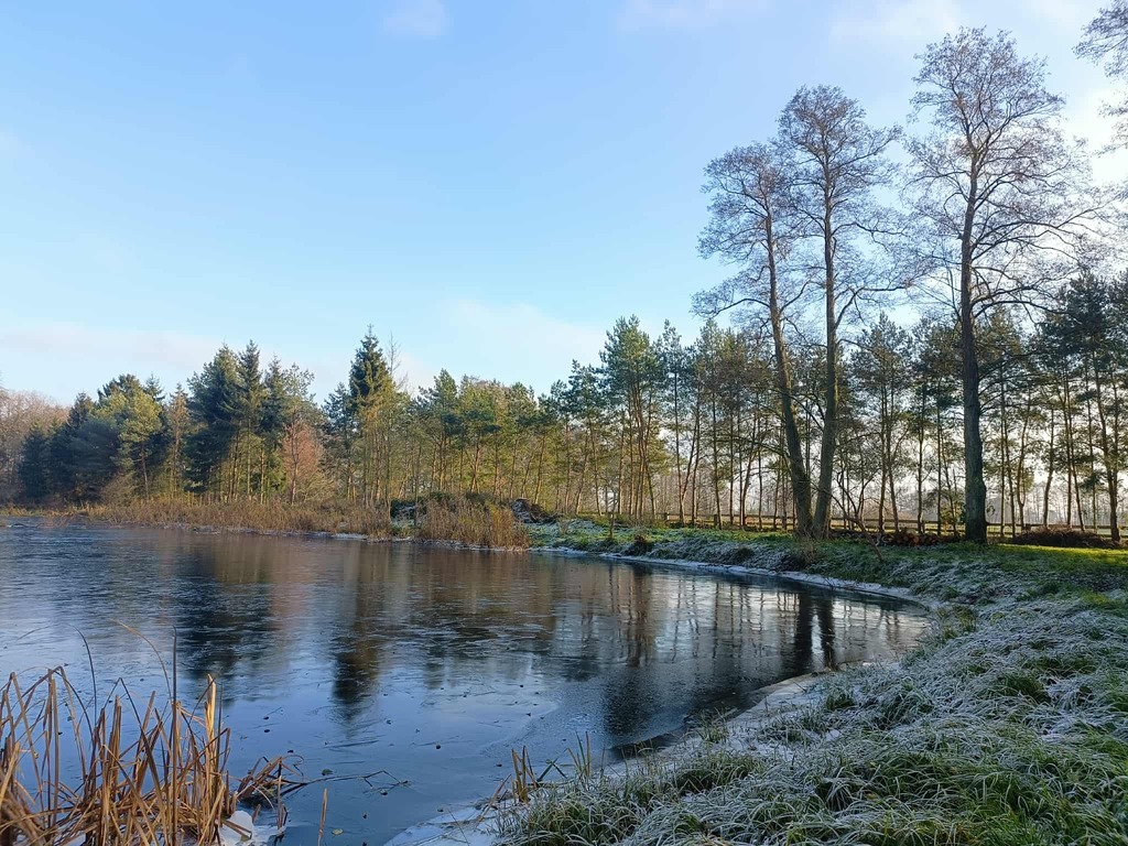 Wymarzone siedlisko - las, jezioro, rzeka