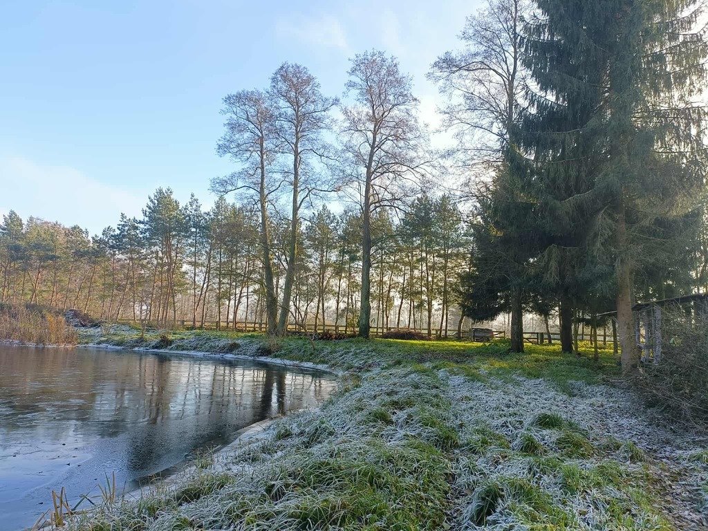 Wymarzone siedlisko - las, jezioro, rzeka