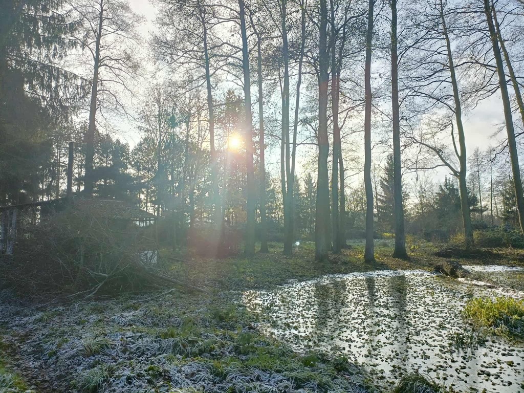 Wymarzone siedlisko - las, jezioro, rzeka