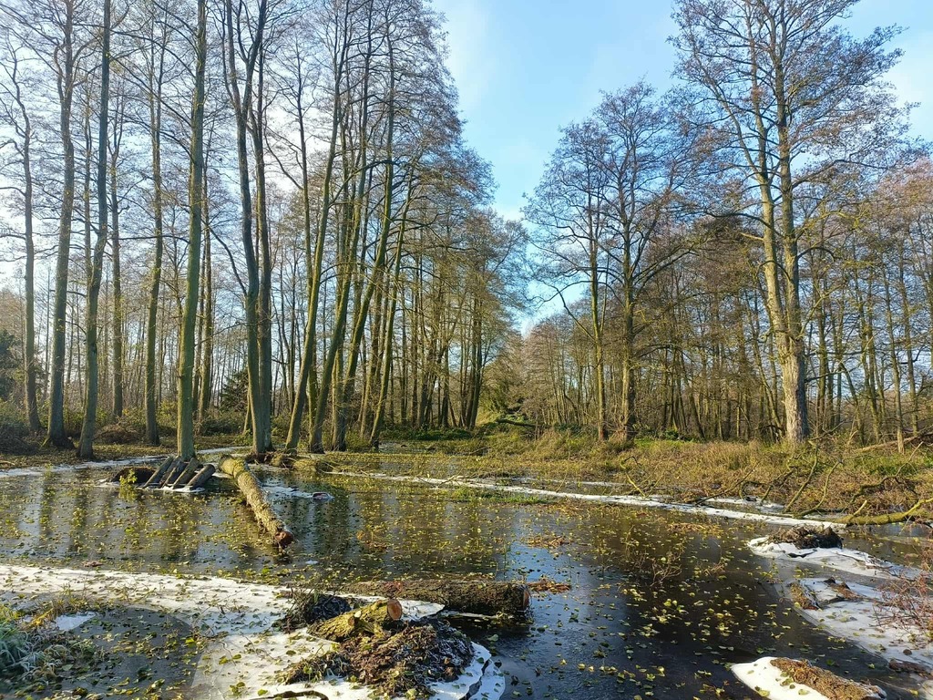 Wymarzone siedlisko - las, jezioro, rzeka