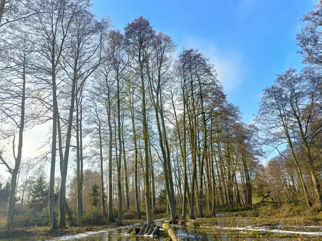Wymarzone siedlisko - las, jezioro, rzeka