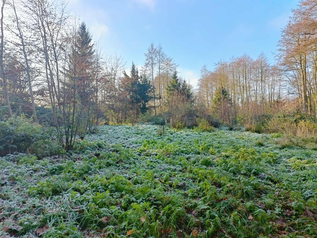Wymarzone siedlisko - las, jezioro, rzeka