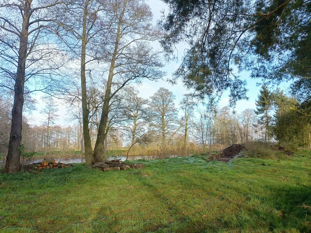 Wymarzone siedlisko - las, jezioro, rzeka