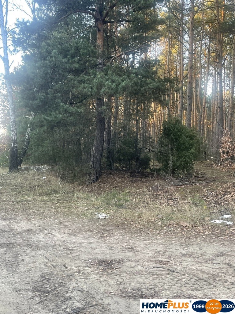 Działka inwestycyjna 5,5 ha, produkcja i usługi.