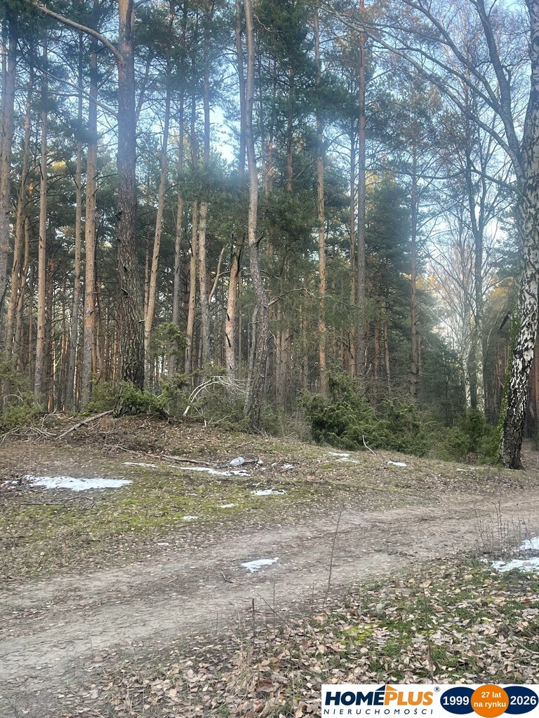Działka inwestycyjna 5,5 ha, produkcja i usługi.