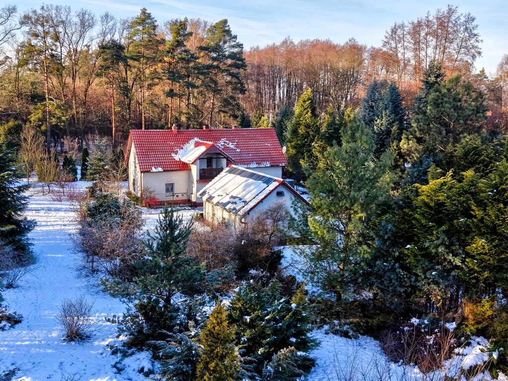 Nowy Dwór, piękny dom pod lasem na sprzedaż