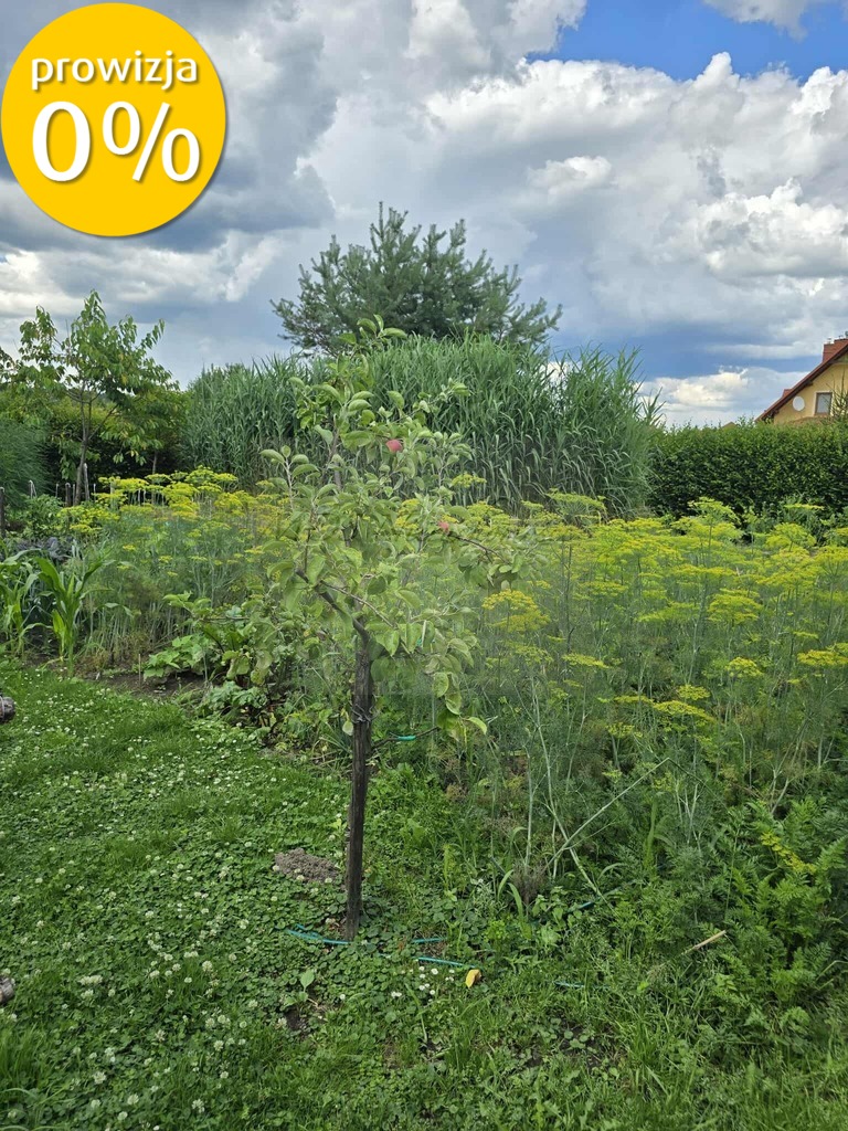 dom z dużą działką