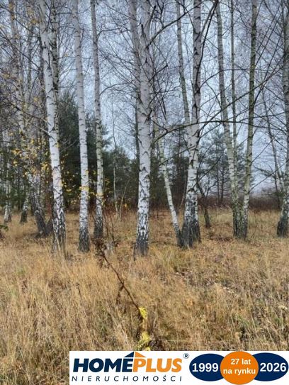 Działka z zabudową jednorodzinną, linia 110 kV