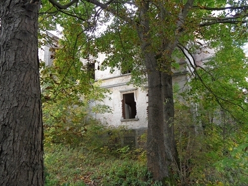 Pałac Wierzbięcin,gm.Nowogard,park-do remontu