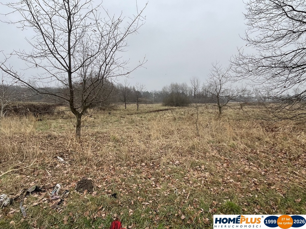 Działka 5979 m² usługi i zabudowa jednorodzinna