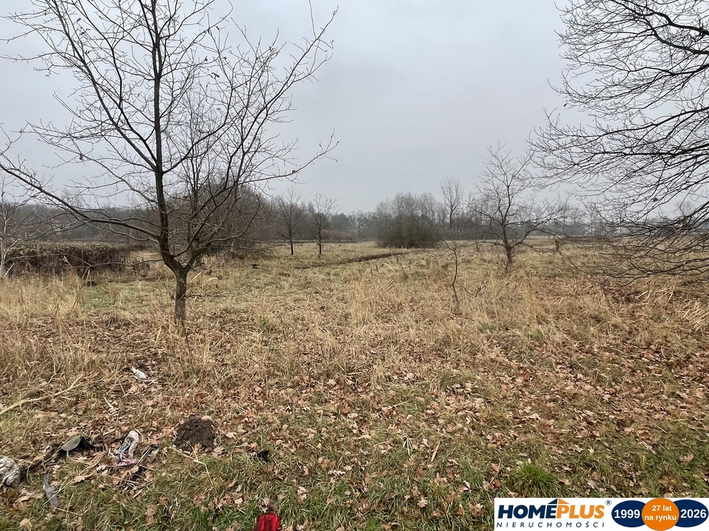 Działka 5979 m² usługi i zabudowa jednorodzinna