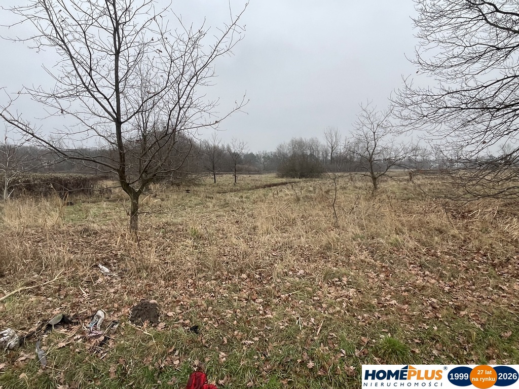 Działka 5979 m² usługi i zabudowa jednorodzinna