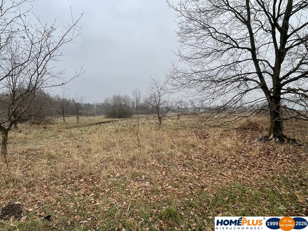 Działka 5979 m² usługi i zabudowa jednorodzinna