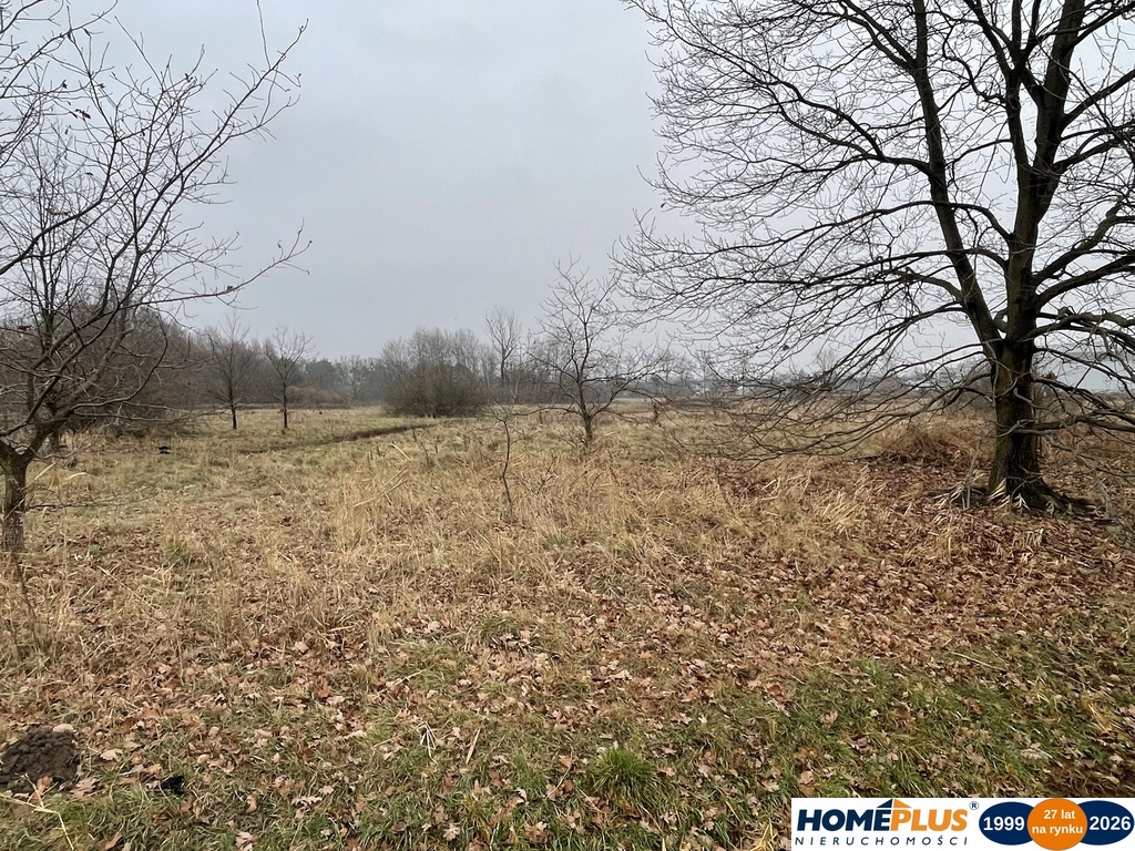 Działka 5979 m² usługi i zabudowa jednorodzinna