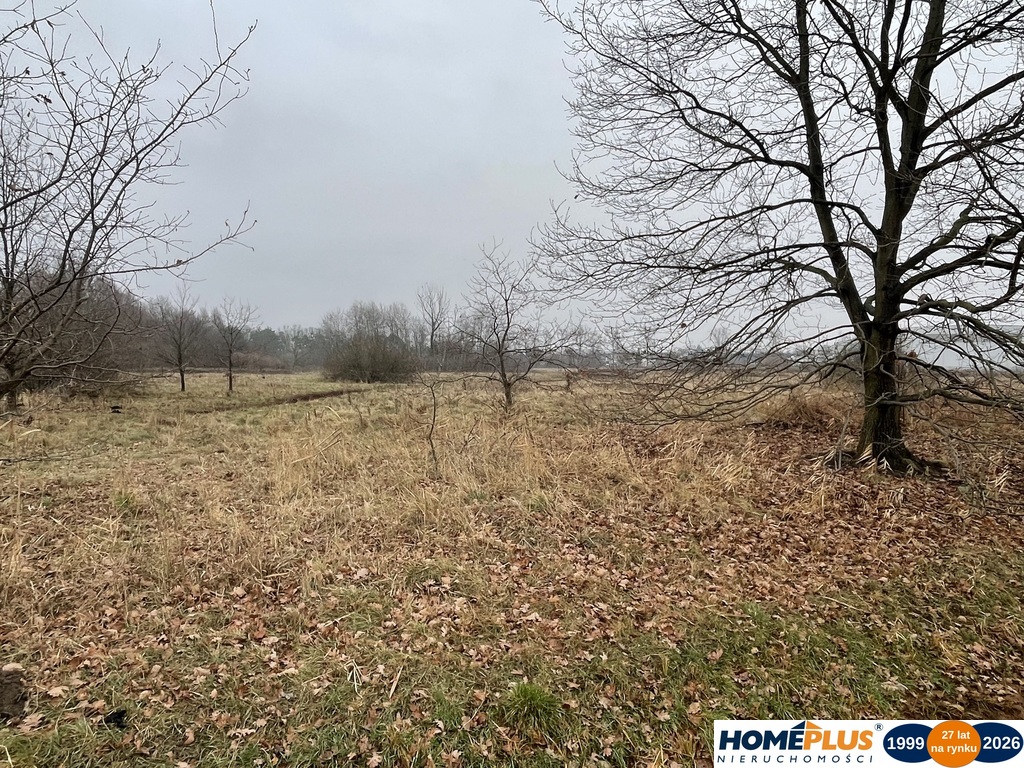 Działka 5979 m² usługi i zabudowa jednorodzinna