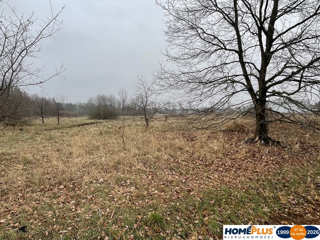 Działka 5979 m² usługi i zabudowa jednorodzinna
