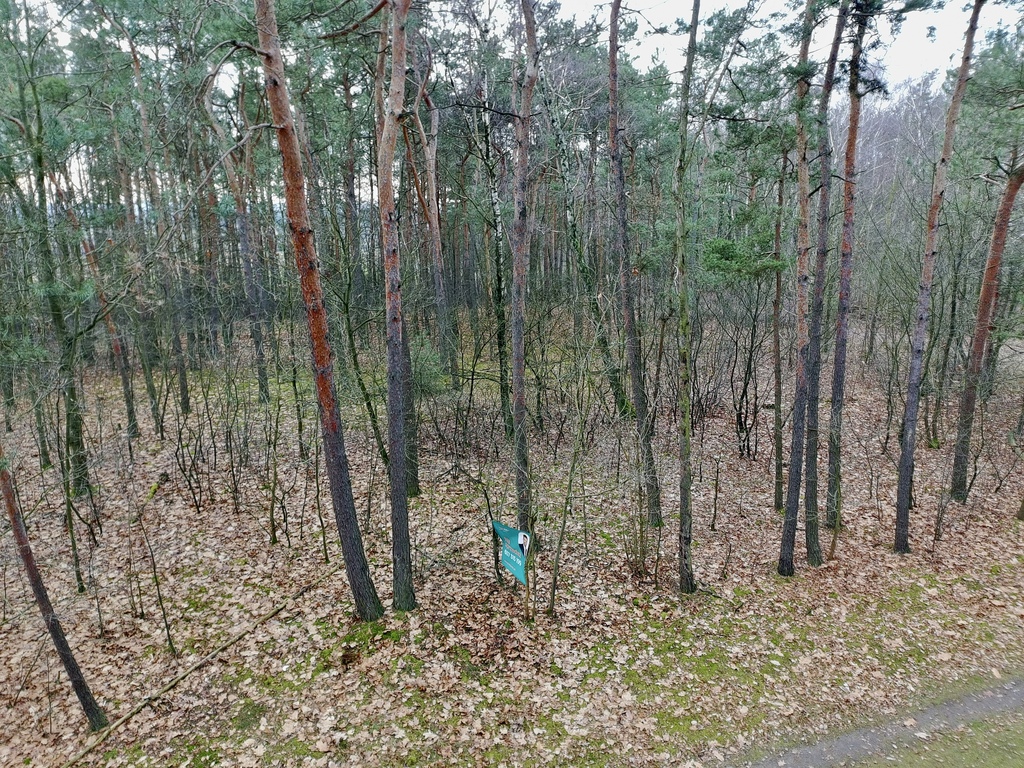 Twoja oaza w lesie