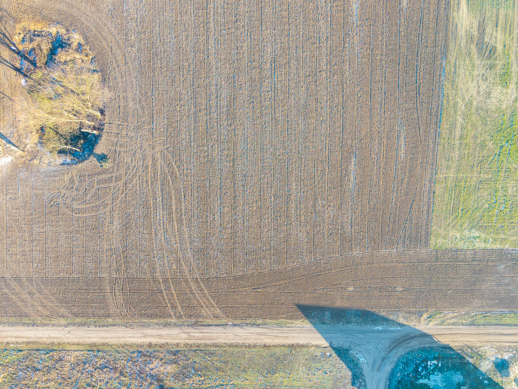 Działka 1355 m² przy lesie - MPZP, Kaźmierz