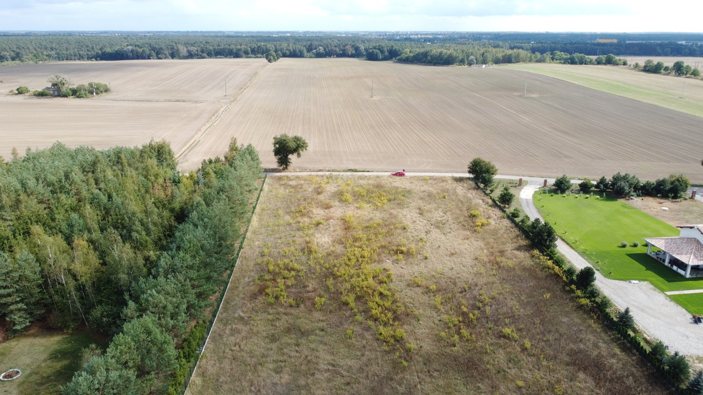 Działka 3000 m2 puszcza zielonka