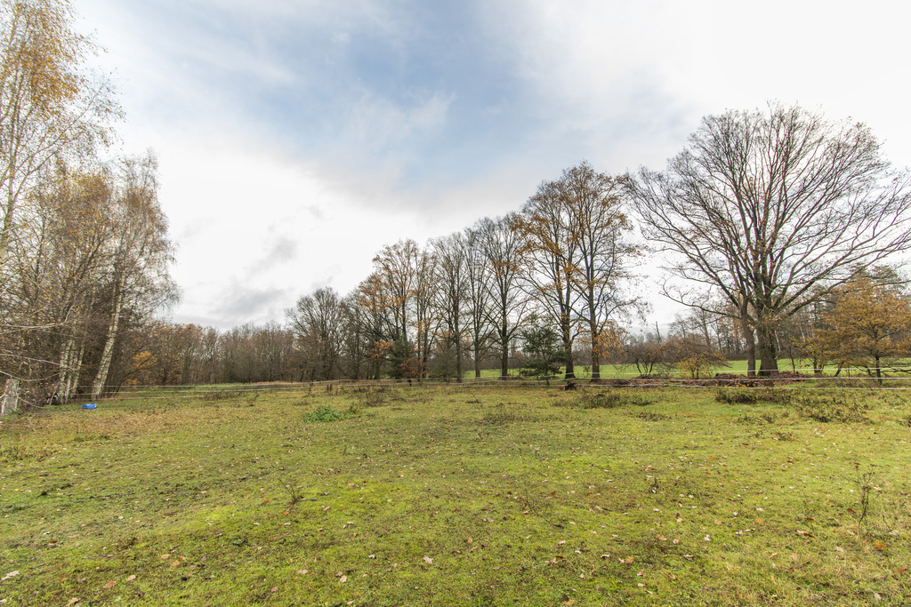 Dom 140 m² + stodoła na działce 3022 m², zielono