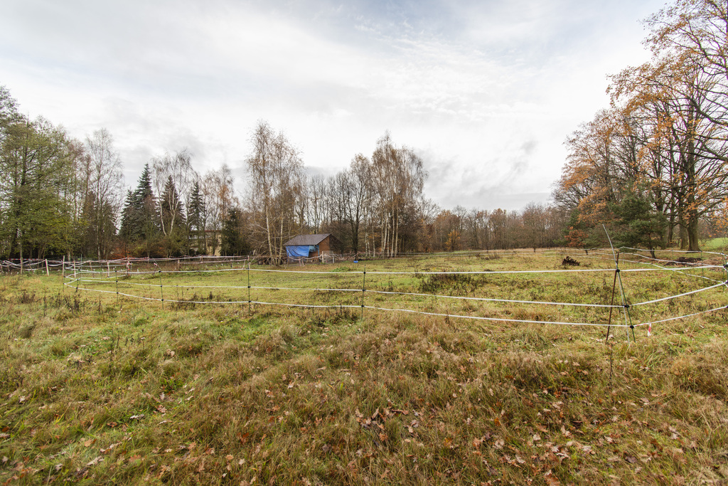Dom 140 m² + stodoła na działce 3022 m², zielono