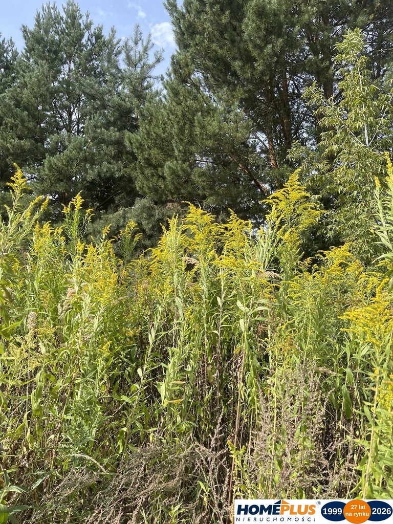 Działka budowlana 869 m², Słupno k. Radzymina