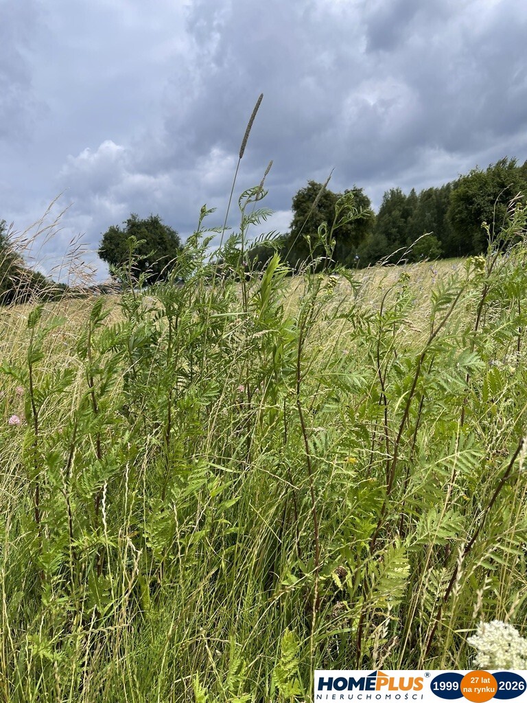 Działka przemysłowa 2270 m² z dojazdem asfaltowym