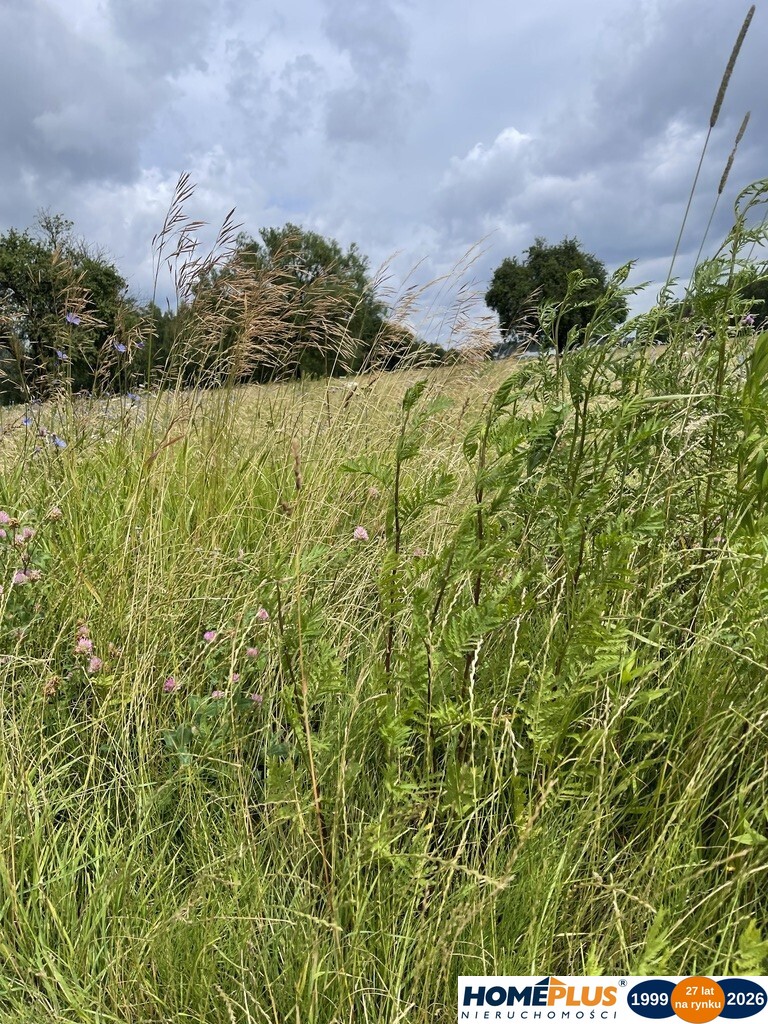 Działka przemysłowa 2270 m² z dojazdem asfaltowym