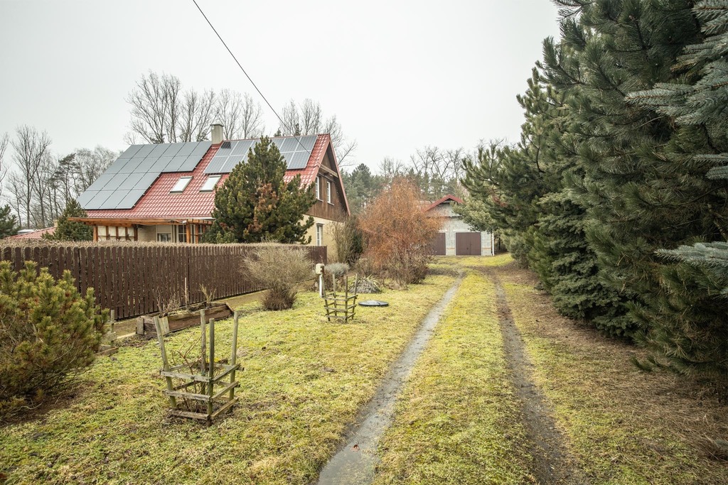 Dom wśród zieleni z prywatnym lasem
