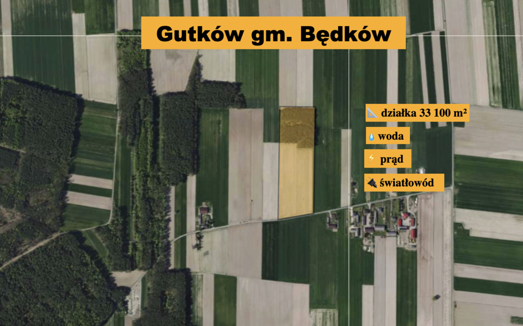 Działka z lasem w super cenie!