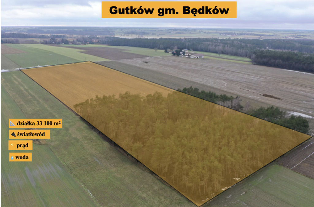 Działka z lasem w super cenie!