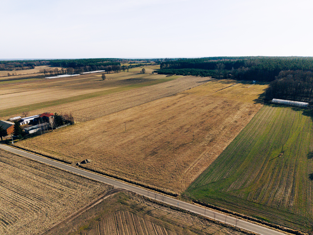 Działka 4,14 ha z zabudową zagrodową w Modlnej