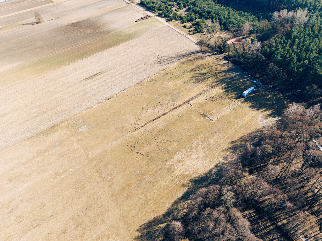 Działka 4,14 ha z zabudową zagrodową w Modlnej