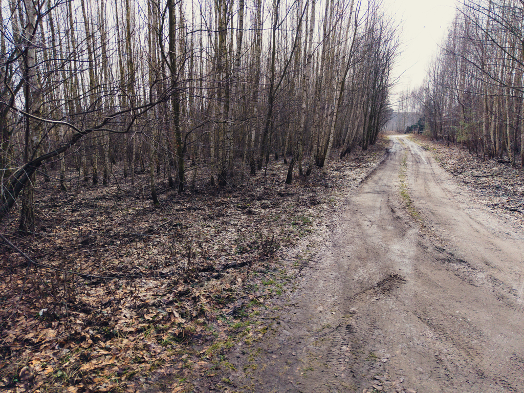 Działka inwestycyjna łódzkie | Rosanów