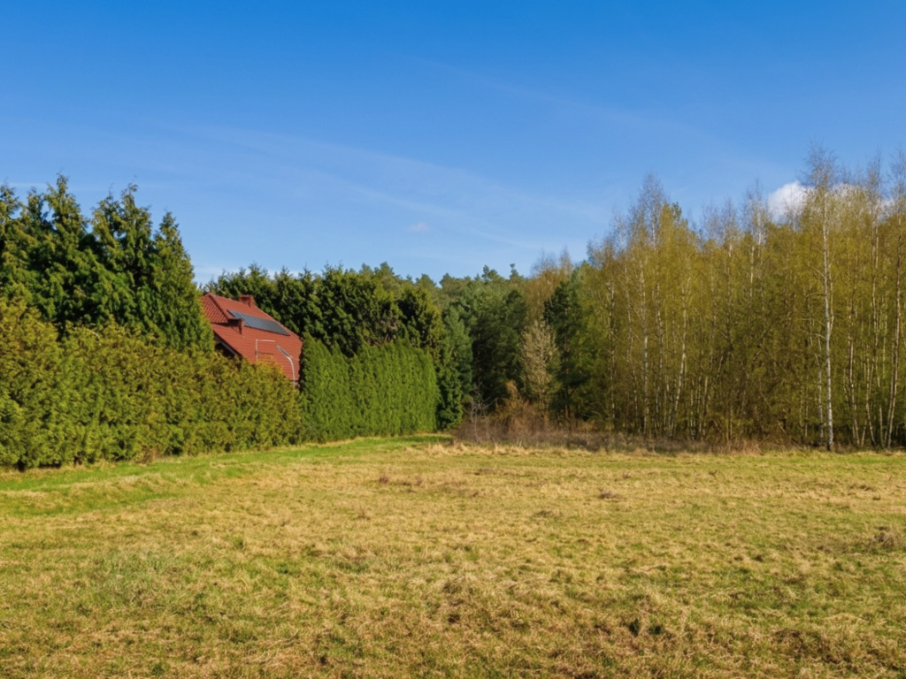 Działka | MPZP | Mieścicka | 1055 m2 | las