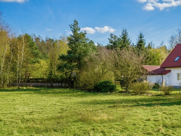 Działka | MPZP | Mieścicka | 1055 m2 | las