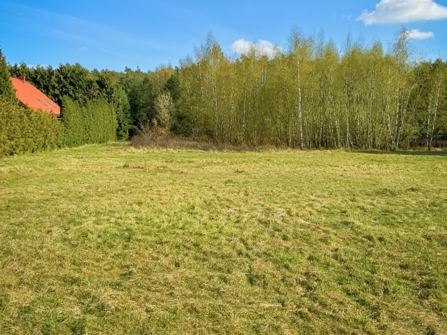 Działka | MPZP | Mieścicka | 1055 m2 | las