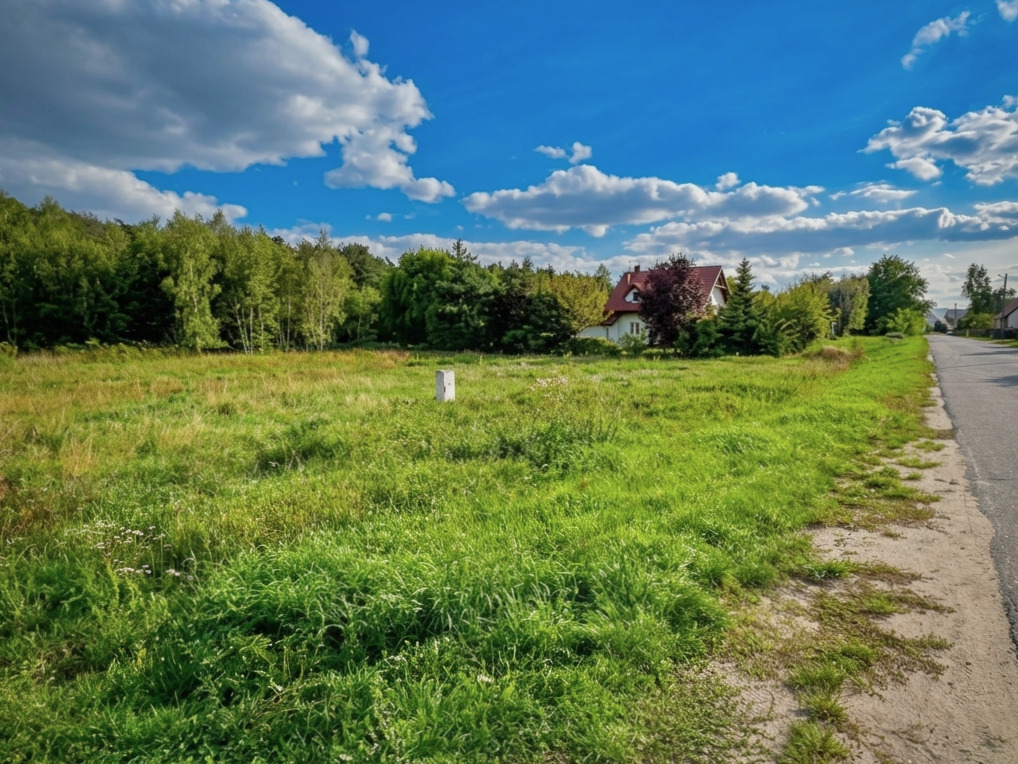 Działka | MPZP | Mieścicka | 1055 m2 | las
