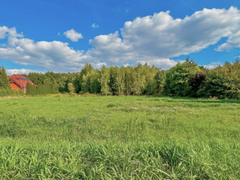 Działka | MPZP | Mieścicka | 1055 m2 | las