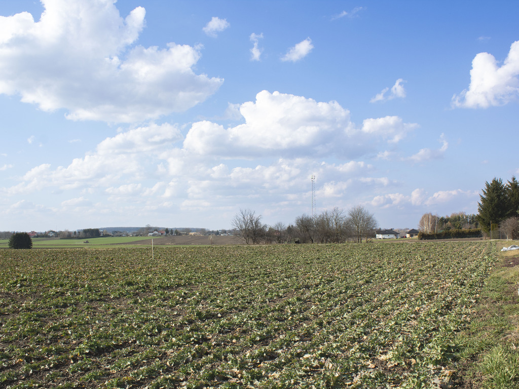 Blat do kuchni ogarniesz za płotem-818 m² pod dom
