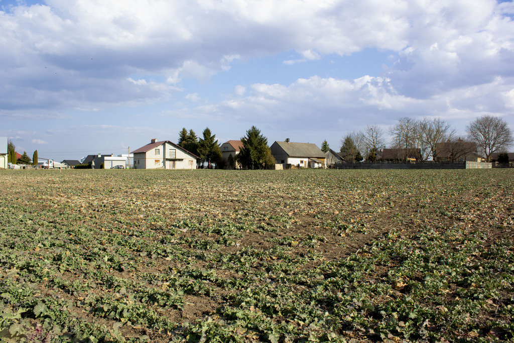 Blat do kuchni ogarniesz za płotem-818 m² pod dom