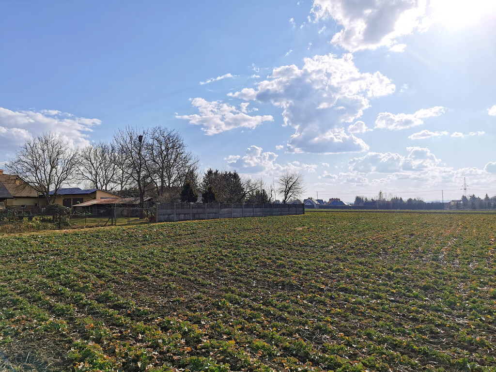 Blat do kuchni ogarniesz za płotem-818 m² pod dom