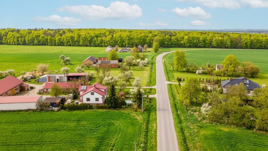 Stare siedlisko 37,5 ara | dom i stodoła