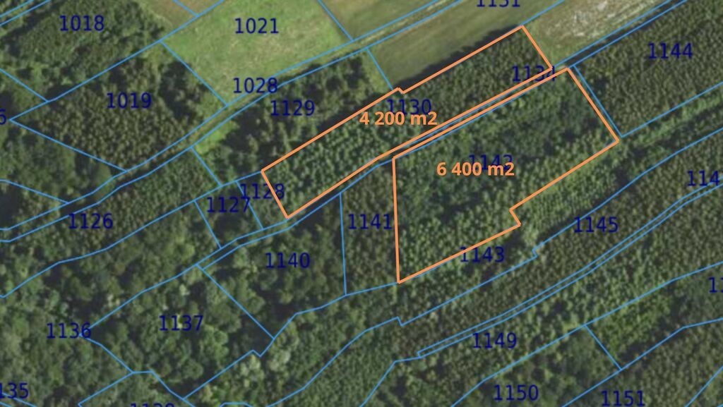 Równy teren leśny 1,06 ha – Łopuszka Wielka