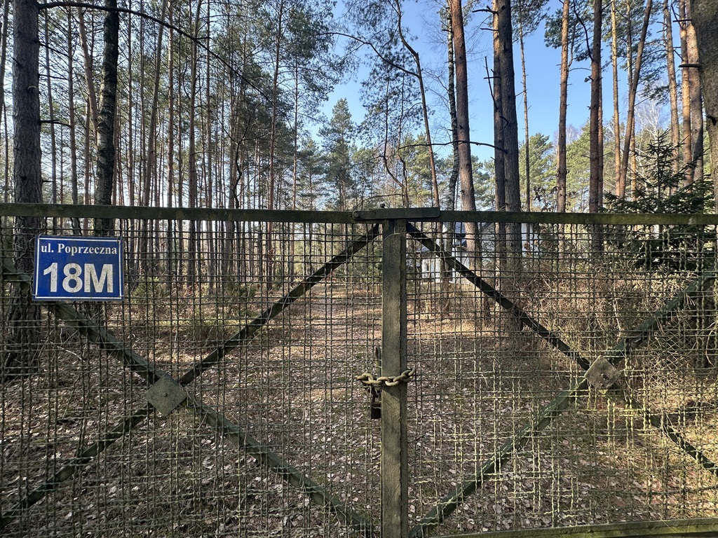 Leśna enklawa w Rosanowie