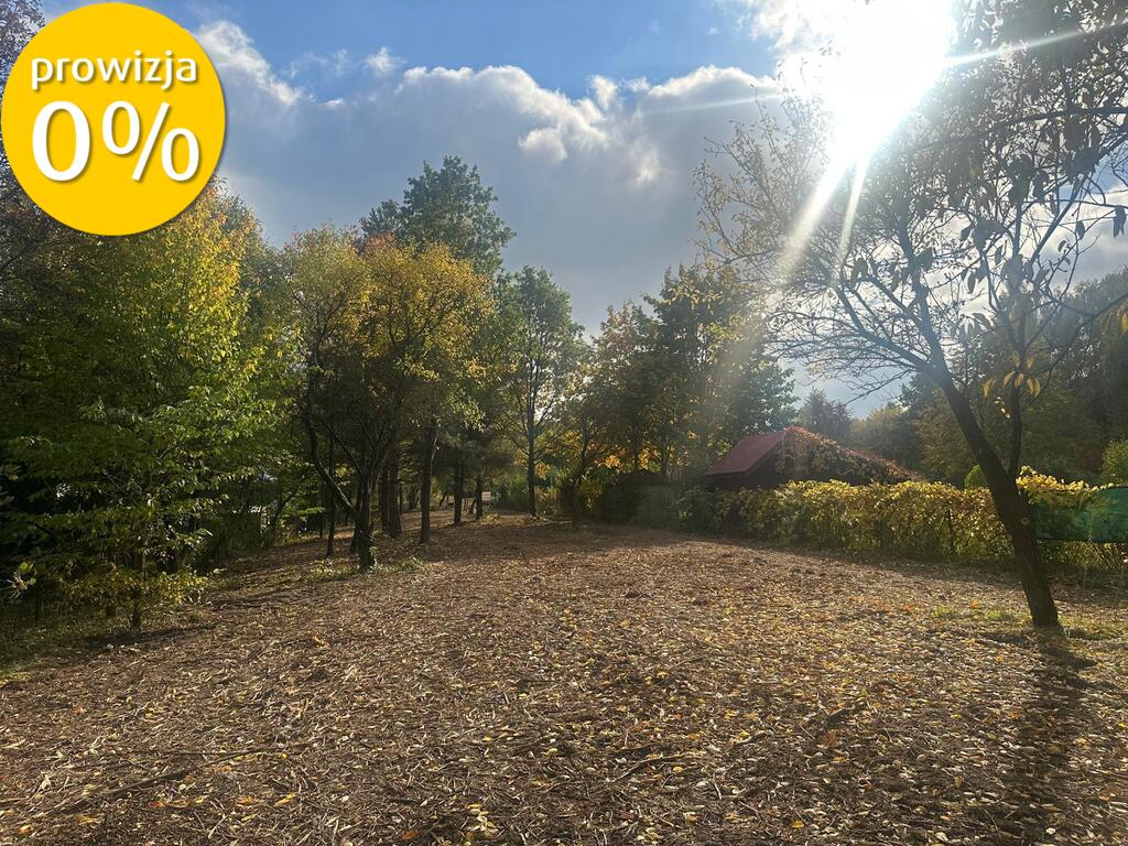 Radachówka nad rzeką Świder 30min z W-wy trasą S17