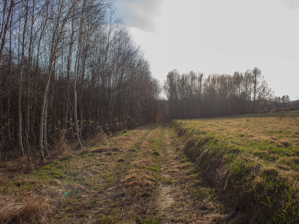 Równy teren leśny 1,06 ha – Łopuszka Wielka
