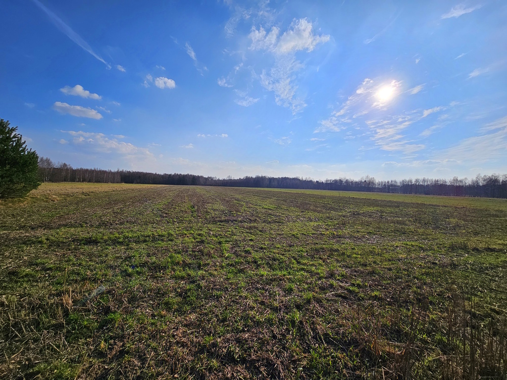 Działka pod Twój dom z MPZP - gm. Zelów